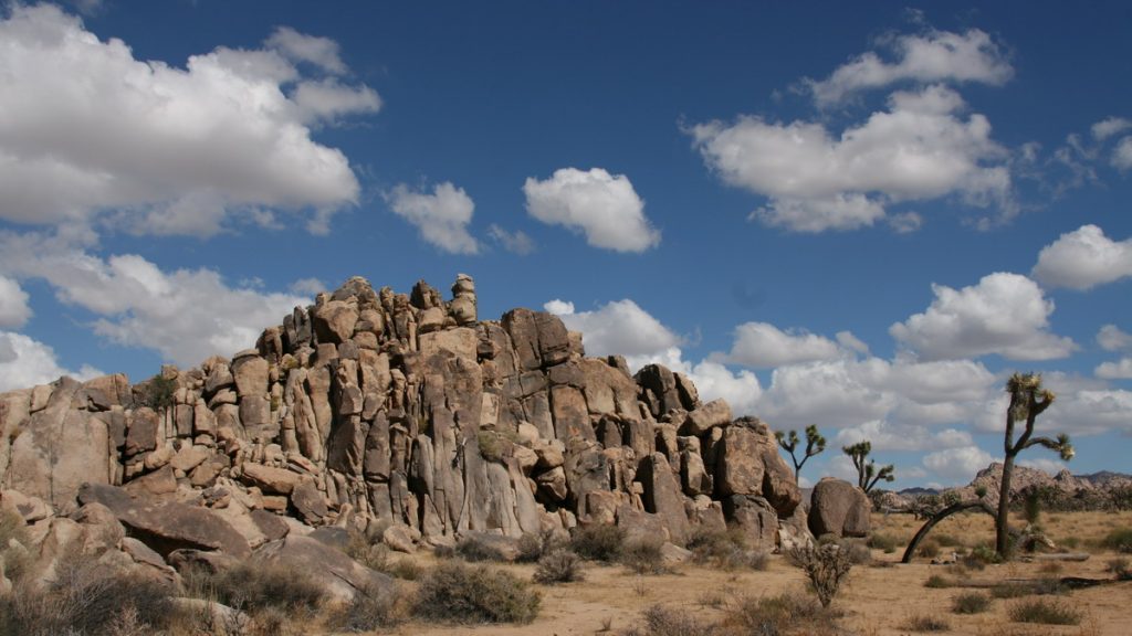 Joshua Tree national Park