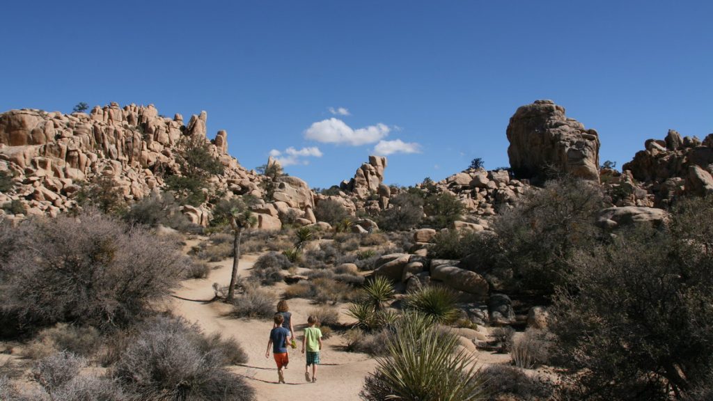 Joshua Tree national Park