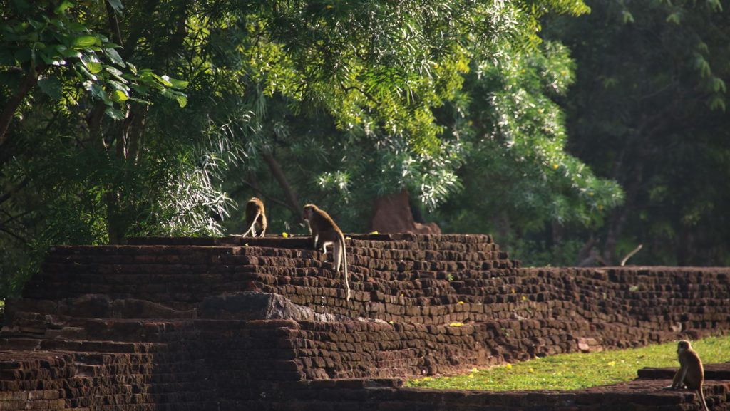 Sigiriya 