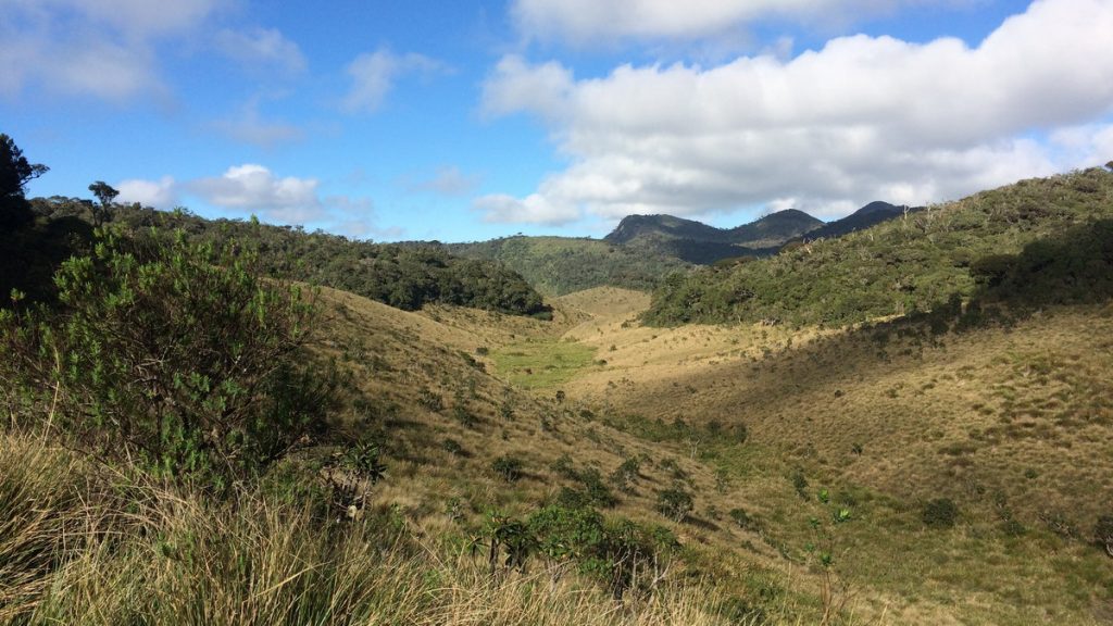 Horton plains national park