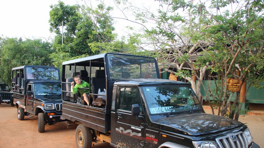 Safari in Yala national park
