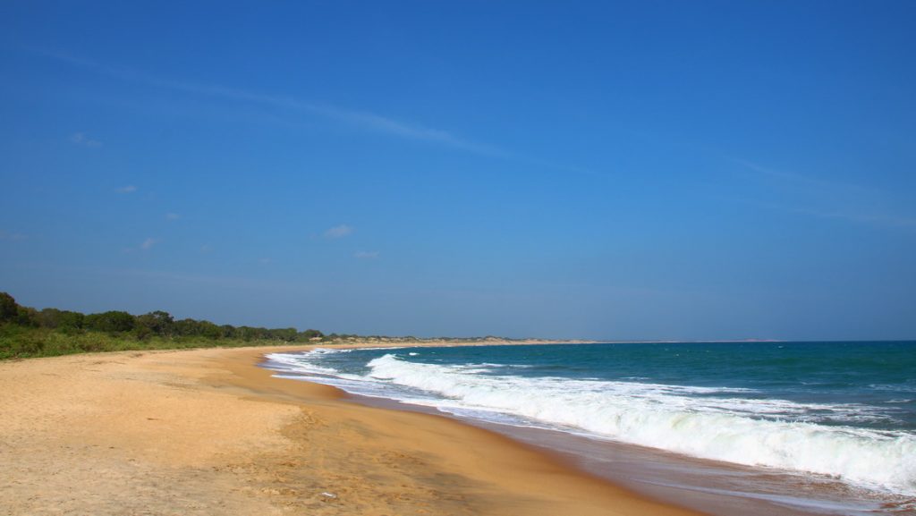 Safari in Yala national park