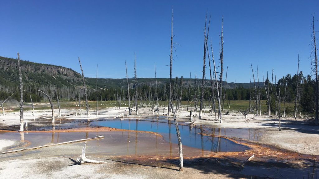 Yellowstone