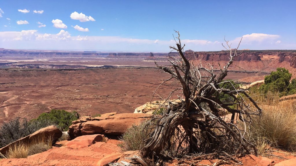 Canyonlands