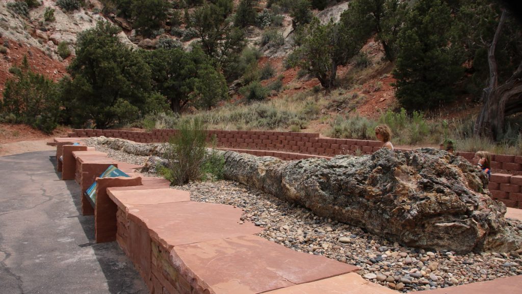 Petrified wood between Bryce and Zion