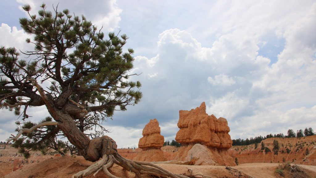 Bryce canyon