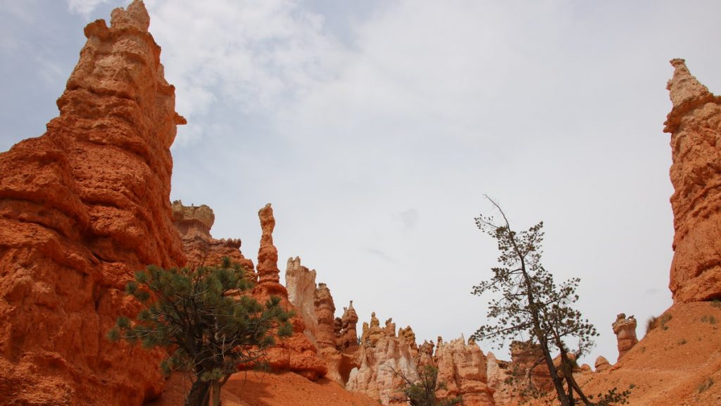 Bryce canyon