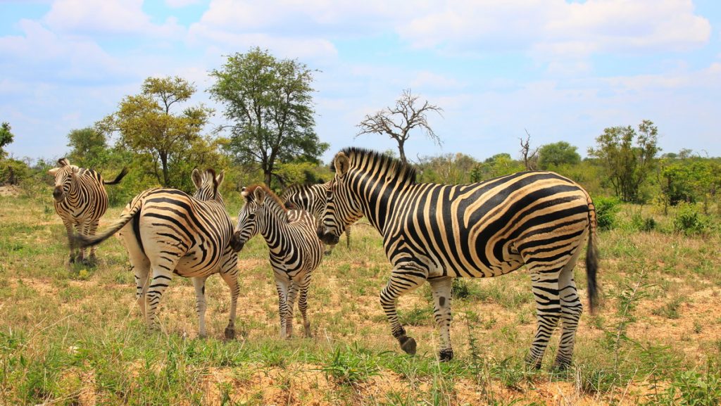 Mapungubwe national park