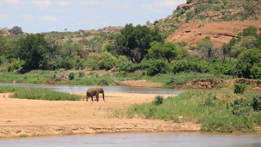 Mapungubwe national park