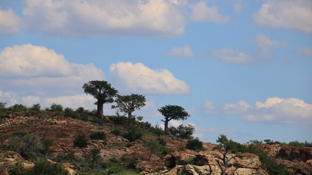 Mapungubwe national park