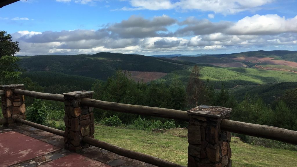 View from Misty Mountain Hotel