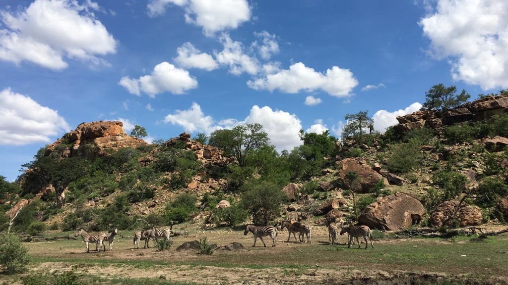 Mapungubwe national park - Itinerary for 15 days in South Africa and Swaziland