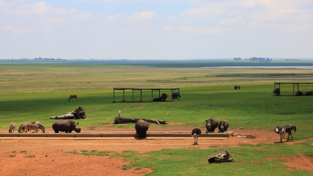 The view from a highway cafeteria