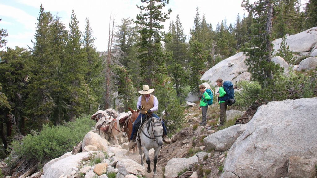 Hiking the Yosemite High Country - camp supplies delivered by mule