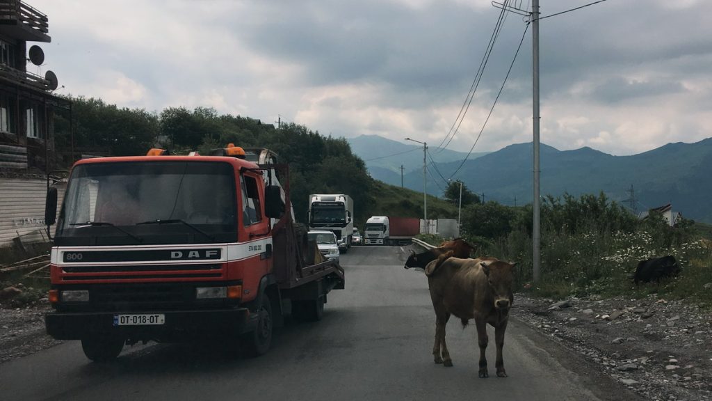 Trafic in Georgia