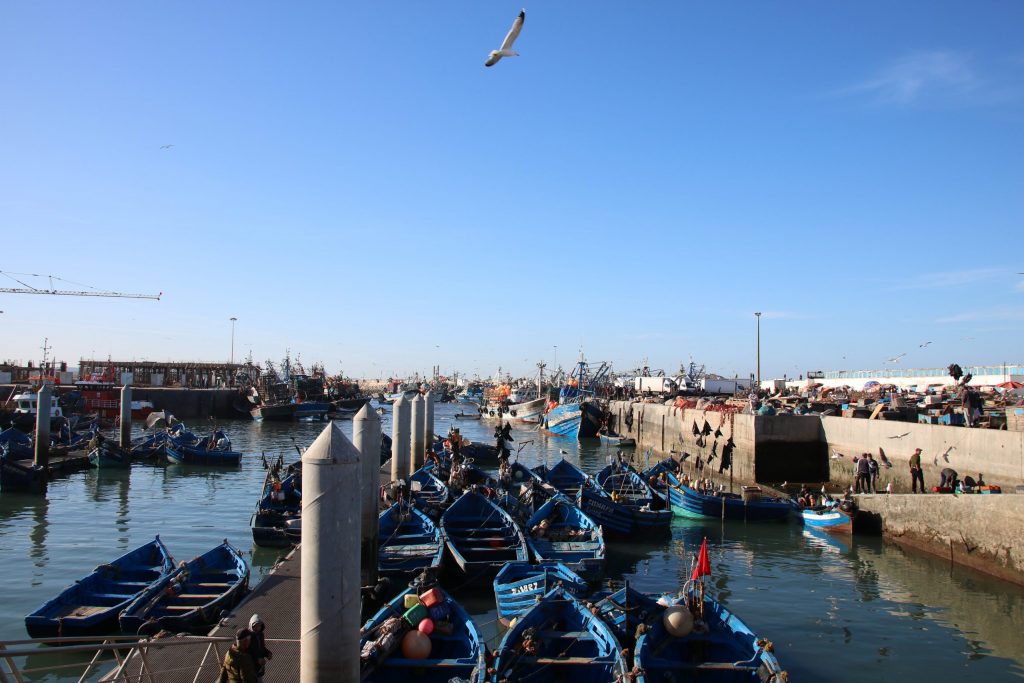 The fishing harbour of Essaouria