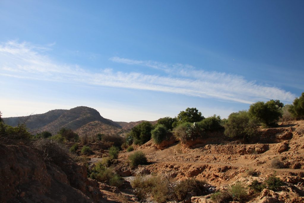 Dry riverbed at Tiout palmeria