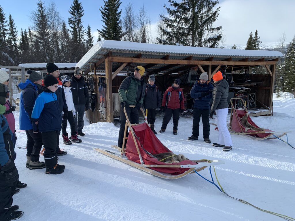 Beitostølen dog-sledding