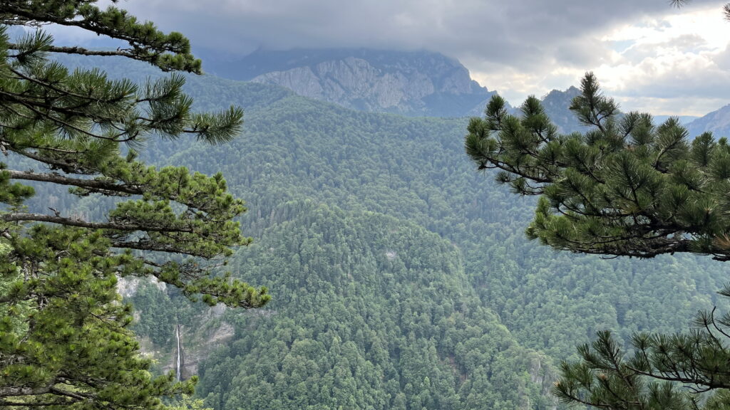 Perućica Primeval Forest