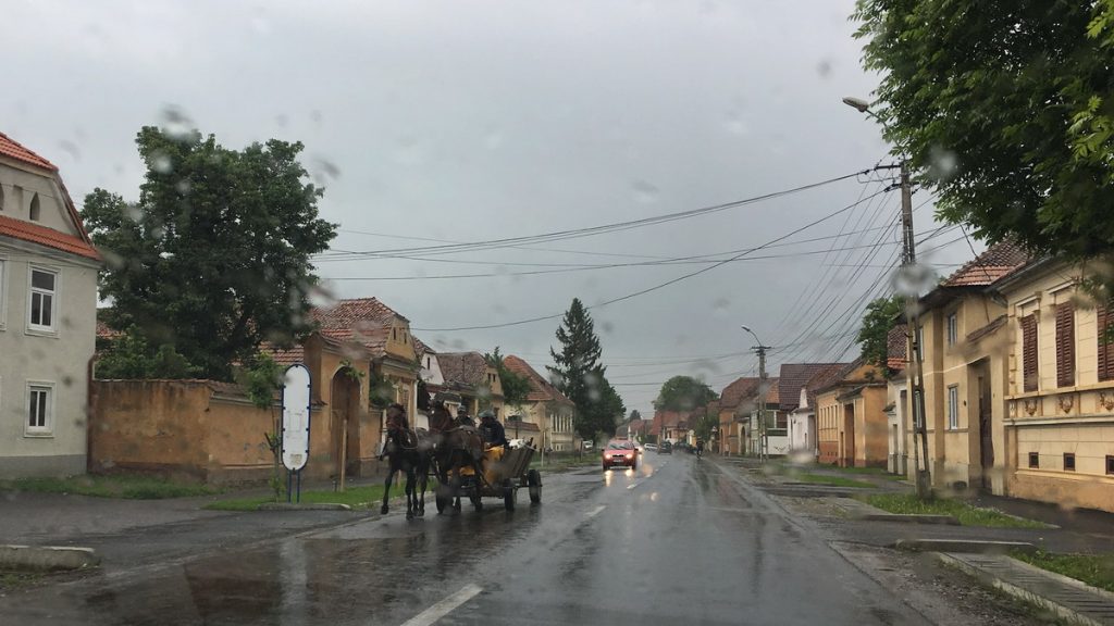 Horse carriage in the rain 