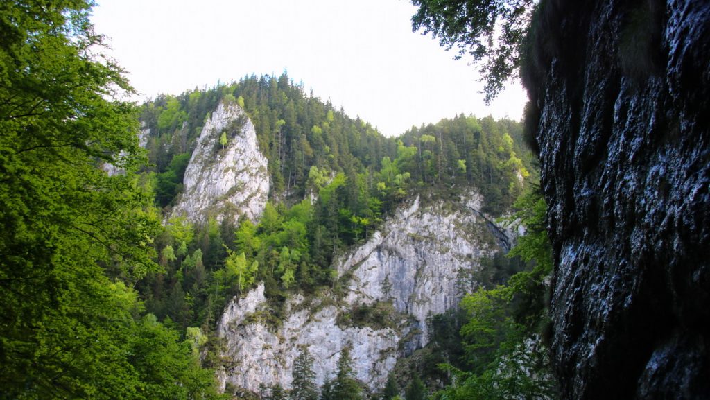 Piatra Craiului national park